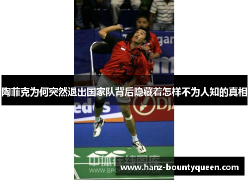 陶菲克为何突然退出国家队背后隐藏着怎样不为人知的真相